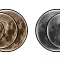 Modern Decorative Wall Lamps Featuring Moon Surface Design in Three Sizes 3d model