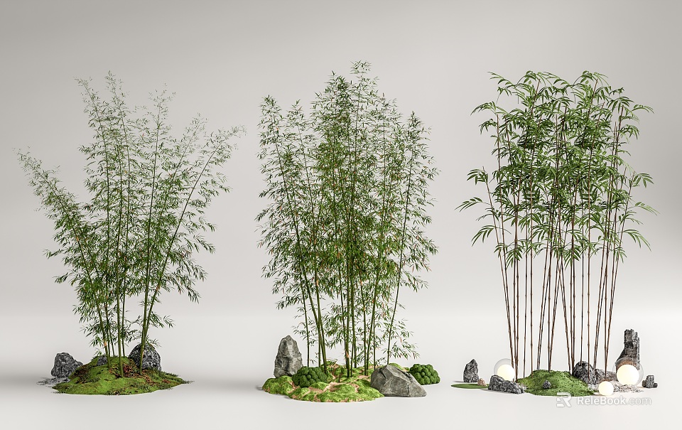 Tall Bamboo Plants Arranged With Decorative Stones And Green Moss In Natural Scene 3d model 