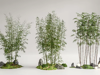 Tall Bamboo Plants Arranged With Decorative Stones And Green Moss In Natural Scene 3d model