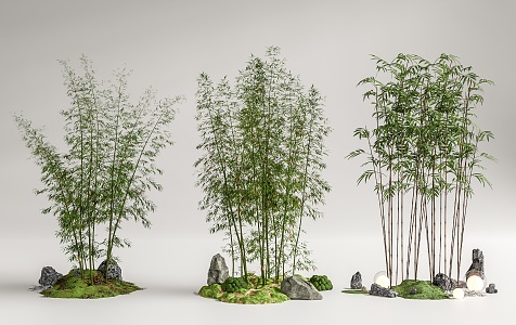 Modern Bamboo Landscape Bamboo Luohan Bamboo Xiangfei Bamboo Courtyard Bamboo Moss Terrain 3d model