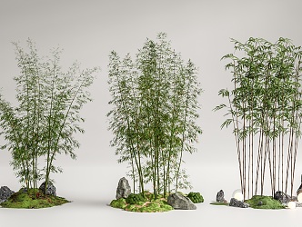 Modern Bamboo Landscape Bamboo Luohan Bamboo Xiangfei Bamboo Courtyard Bamboo Moss Terrain 3d model