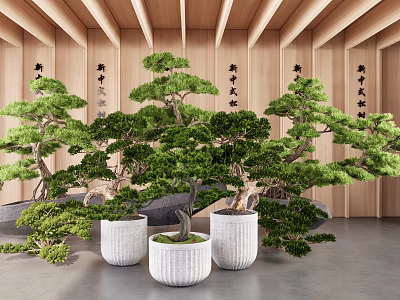 Bonsai Plants In White Planters With Lush Green Foliage And Wooden Wall Background 3d model