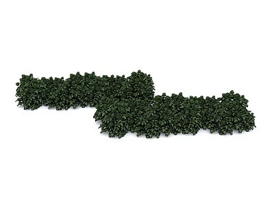 Green Ground Cover Plants With Dense Foliage For Landscape Garden Use 3d model