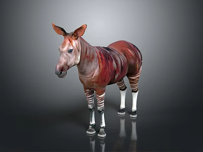 Red Brown Striped Zebra Like Animal Standing On Gray Surface With White Legs 3d model