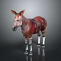 Red Brown Striped Zebra Like Animal Standing On Gray Surface With White Legs