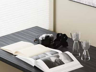Book Ornaments Book Camera Candle 3d model