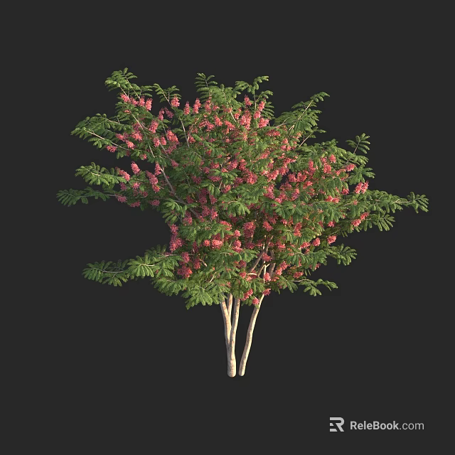 Ornamental Tree With Green Leaves And Pink Flowers On Light Colored Trunks 3d model 