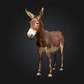 Brown Donkey Standing Against Dark Background With White Hooves And Nose 3d model