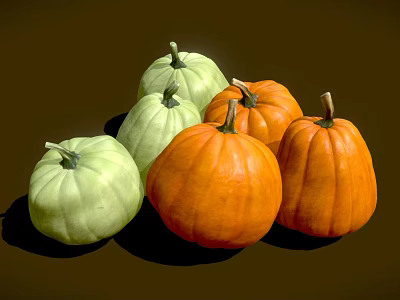 Colorful Green and Orange Pumpkins Fresh Healthy Vegetables on Dark Background 3d model