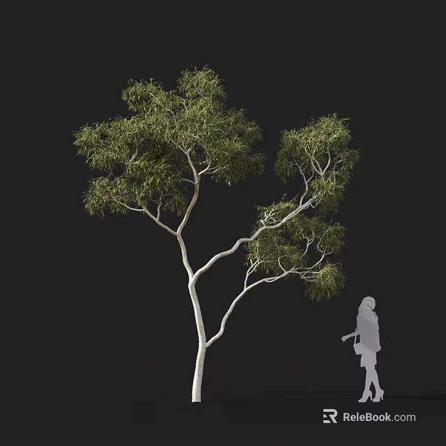 Tall Tree With White Trunk Green Leaves And Girl Silhouette Against Black Background 3d model 