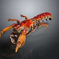 Red Crayfish With Vibrant Red Shell And Prominent Claws Isolated On Dark Background
