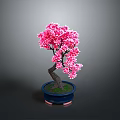 Pink Flowering Bonsai Tree with Curved Trunk in Blue Pot on Gray Background