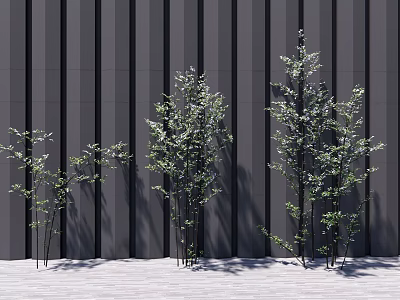 Trees with Different Sizes Green Leaves Slender Trunks Against Gray Vertical Striped Wall Light Ground 3d model