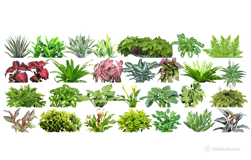 Colorful Assorted Green Plants With Various Foliage And Leaf Shapes 3d model 