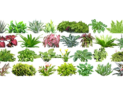 Colorful Assorted Green Plants With Various Foliage And Leaf Shapes 3d model