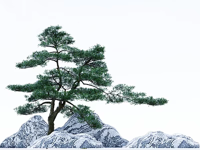 Pine Tree With Lush Green Branches Against Snow Covered Mountains 3d model