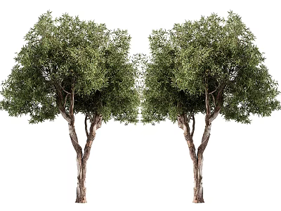 Two Healthy Trees With Lush Green Canopies And Brown Trunks 3d model