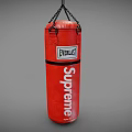 Everlast Supreme Red Punching Bag With Chain Hanging For Fitness Training