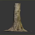 Natural Wooden Tree Stump With Exposed Roots And Textured Trunk Structure