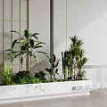 Indoor Plant Combination In White Rectangular Planter With Various Tall And Small Greenery 3d model
