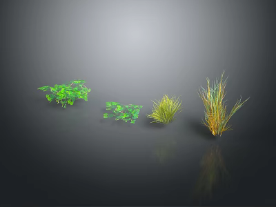 Four Different Green Plants With Various Leaf Shapes And Heights On Dark Background With Reflections 3d model