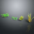 Four Different Green Plants With Various Leaf Shapes And Heights On Dark Background With Reflections