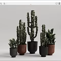 Decorative Bonsai Potted Plants With Cactus And Green Plants In Black Brown Ceramic Pots