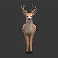 Realistic Deer Figure With Antlers And Brown White Spots On Dark Background