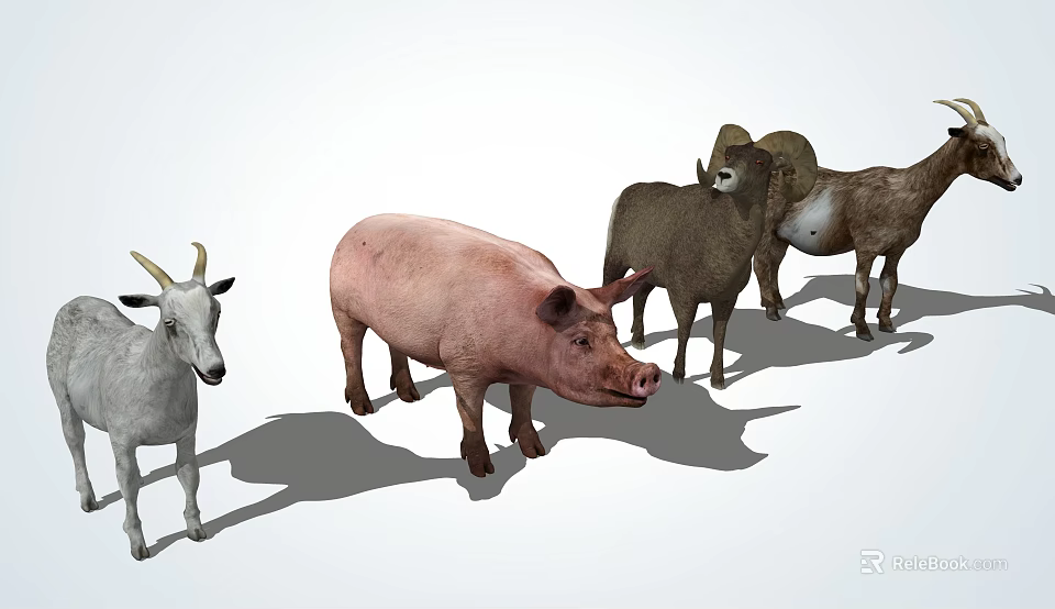 Diverse Reptile Species Showcasing Unique Features In Natural Habitat 3d model 