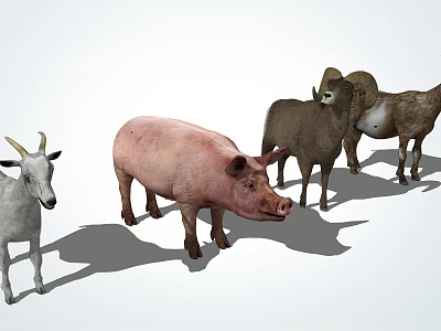 Diverse Reptile Species Showcasing Unique Features In Natural Habitat 3d model