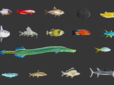 Diverse Aquatic Animals Featuring Colorful Fish Rays And Various Marine Species 3d model