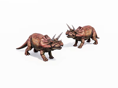 Two Realistic Brown Triceratops Toy Models With Horns Standing On White Background 3d model