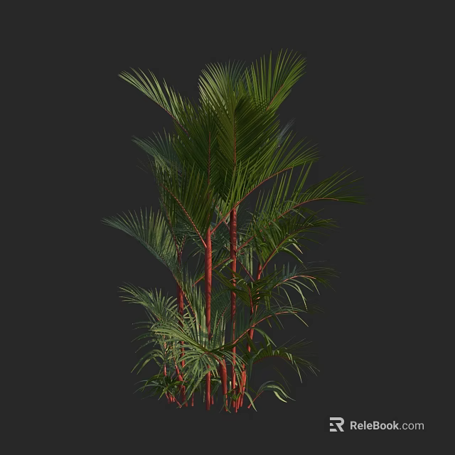 Lush Palm Tree With Green Fronds And Red Trunks Isolated On Dark Background 3d model 