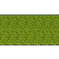 Living Plant Wall Various Greenery Shapes and Designs for Indoor Outdoor Decor
