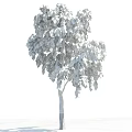 Tall Weeping Tree With Green Drooping Branches Against Blue Sky And White Clouds