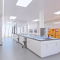 Modern Laboratory Interior Design With Lab Benches Cabinets Fume Hoods And Windows