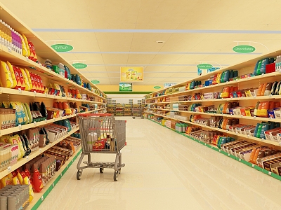 modern supermarket shelves model