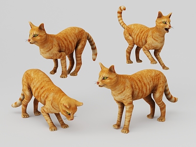 cat tiger skin cat 3d model