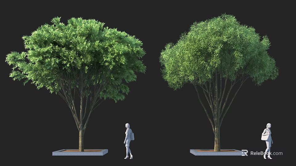 Two Tall Arbor Trees With Lush Green Foliage Square Base And Human Figure Standing Between 3d model 