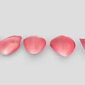 Five Pink Rose Petals Arranged in a Row on Light Gray Background 3d model