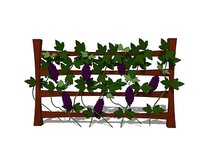 Rustic Wooden Fence Adorned With Green Leaves And Purple Fruits Vines 3d model