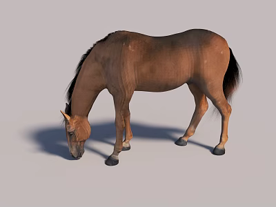 The Modern Horse 3d model