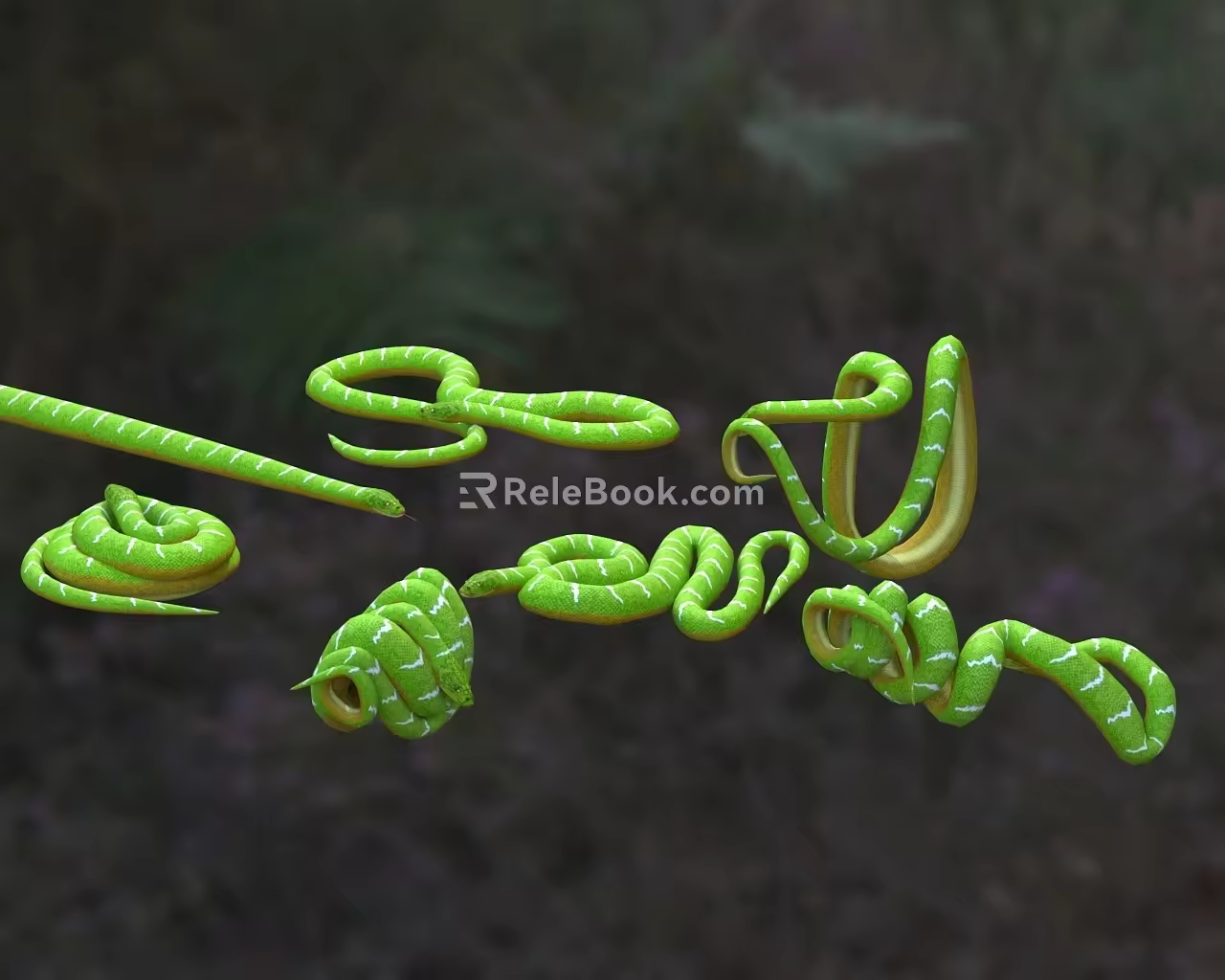 Emerald Green Tree Anaconda Emerald Python Emerald Anaconda Green Tree Anaconda Snake 3d model