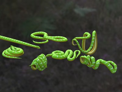 Green Reptile Snakes In Various Coiled Curved Forms With Green Plants Background 3d model