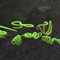 Emerald Green Tree Anaconda Emerald Python Emerald Anaconda Green Tree Anaconda Snake 3d model