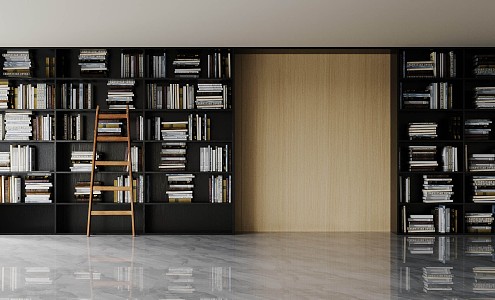 Modern bookcase 3d model