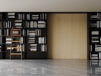 Modern bookcase 3d model