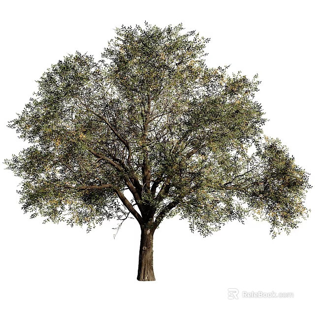 Functional Tree Pit Design In Urban Landscapes With Lush Trees And Greenery Elements 3d model 