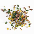 Colorful Autumn Leaves Scattered On White Wooden Background For Natural Decor