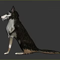 Sitting Dog 3D Character Model Featuring Blue Eyes And Brown White Fur